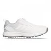 ADIDAS S2G BOA DONNA -Offerta Economica Novità adidas gv9778 s2g boa donna scarpe golf donna 046119201 whtgr 1