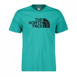 THE NORTH FACE T-SHIRT EASY Verde