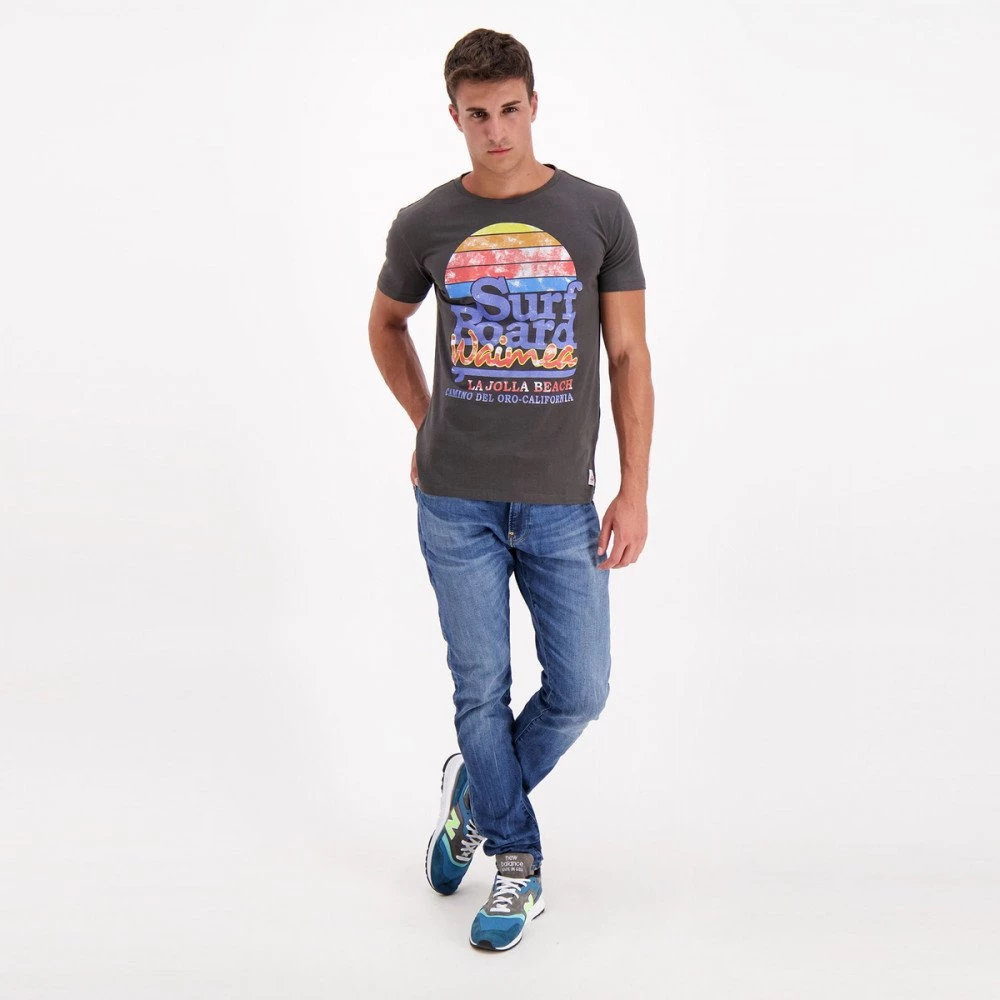 WAIMEA T-SHIRT JOLLA Grigio 6 WAIMEA T-SHIRT JOLLA Grigio - immagine 4